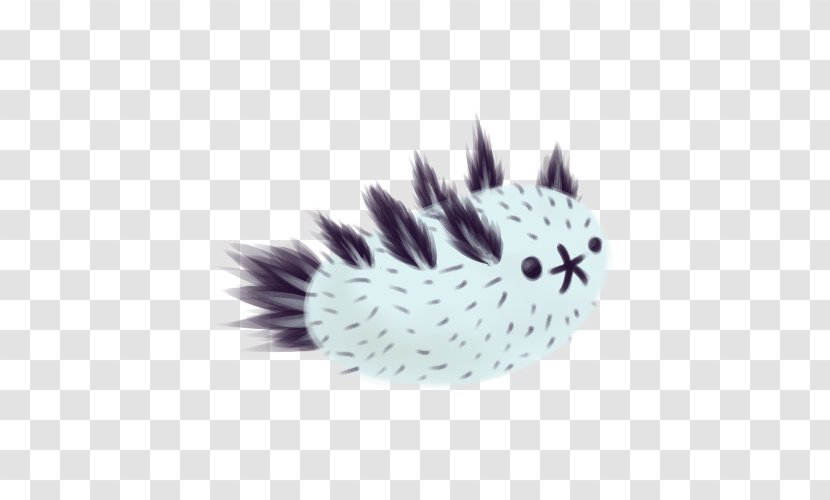 Whiskers Cat Hedgehog Fur Feather Transparent PNG