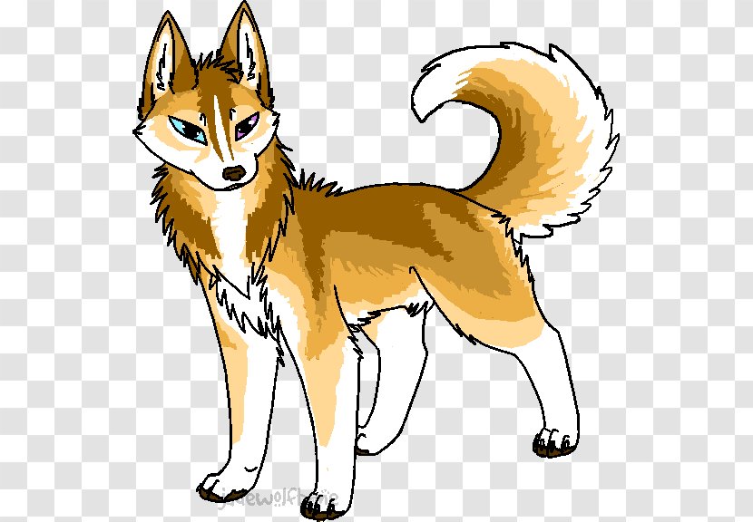 Whiskers Cat Dog Breed Red Fox Transparent PNG