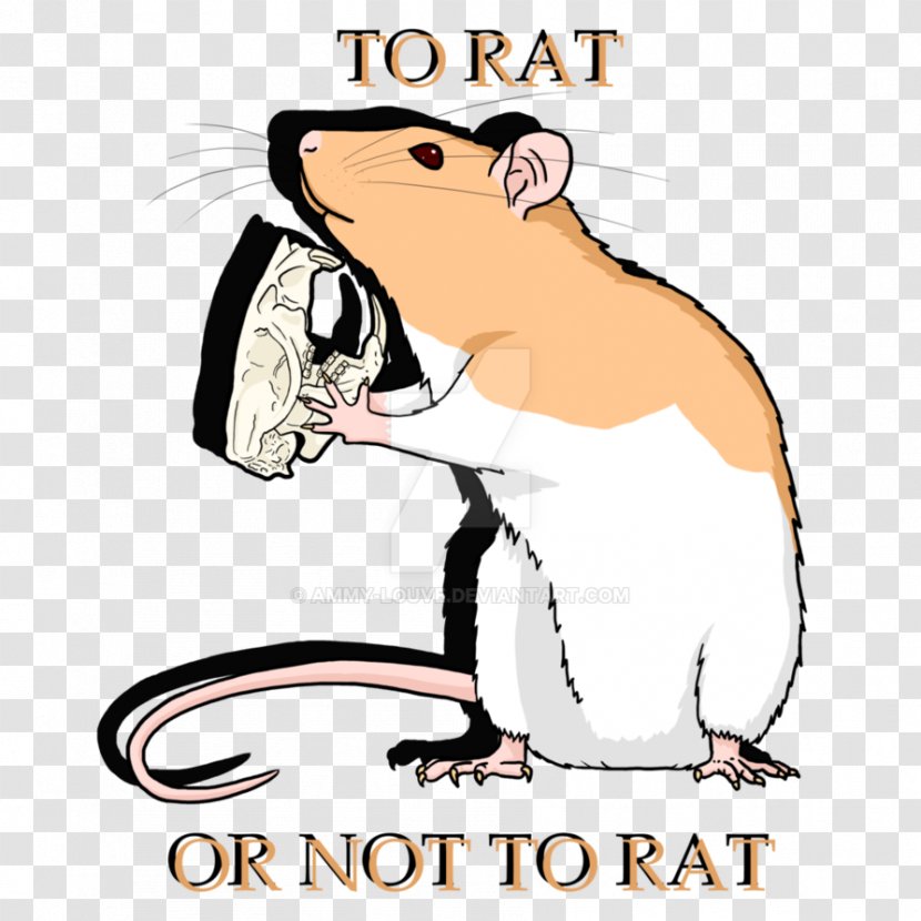 Rodent Rat Muroidea Clip Art - Beak - & Mouse Transparent PNG