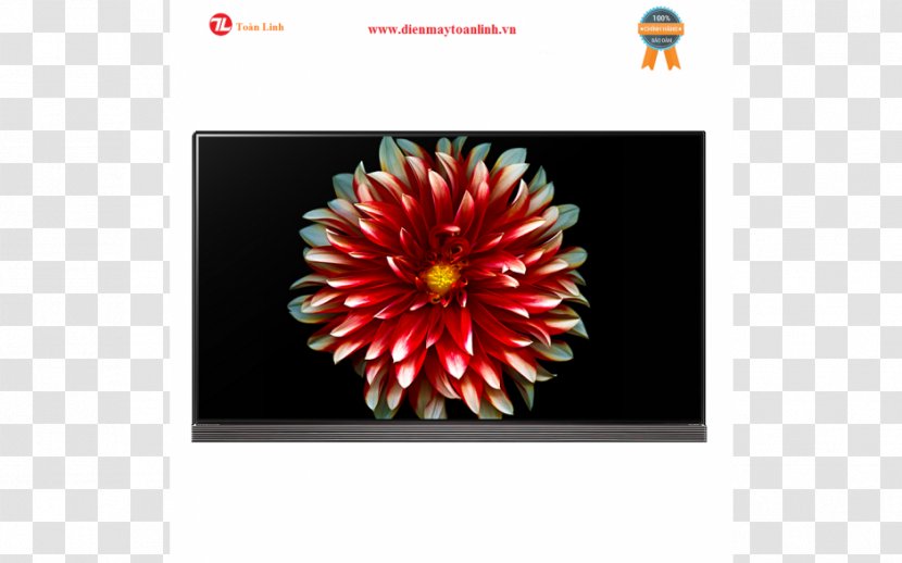 LG Electronics OLED 4K Resolution Television - Petal - Lg Transparent PNG