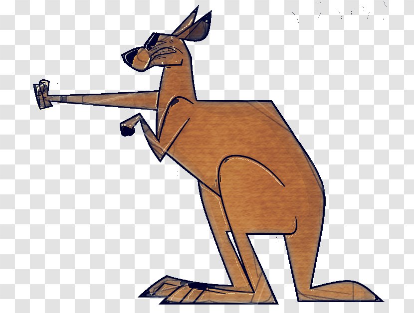Kangaroo Macropodidae Red Wallaby - Tail Wildlife Transparent PNG