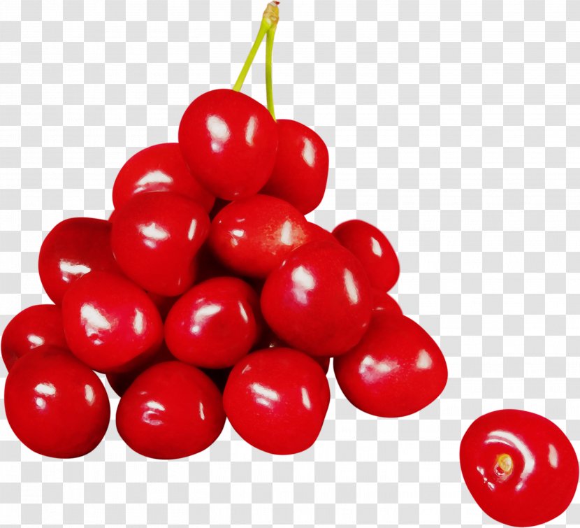 Cherry Fruit Natural Foods Red Food - Superfruit - Cranberry Lingonberry Transparent PNG