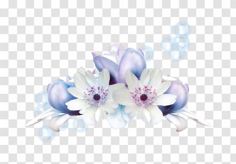 Floral Design Cut Flowers Flower Bouquet Flowering Plant - White Transparent PNG