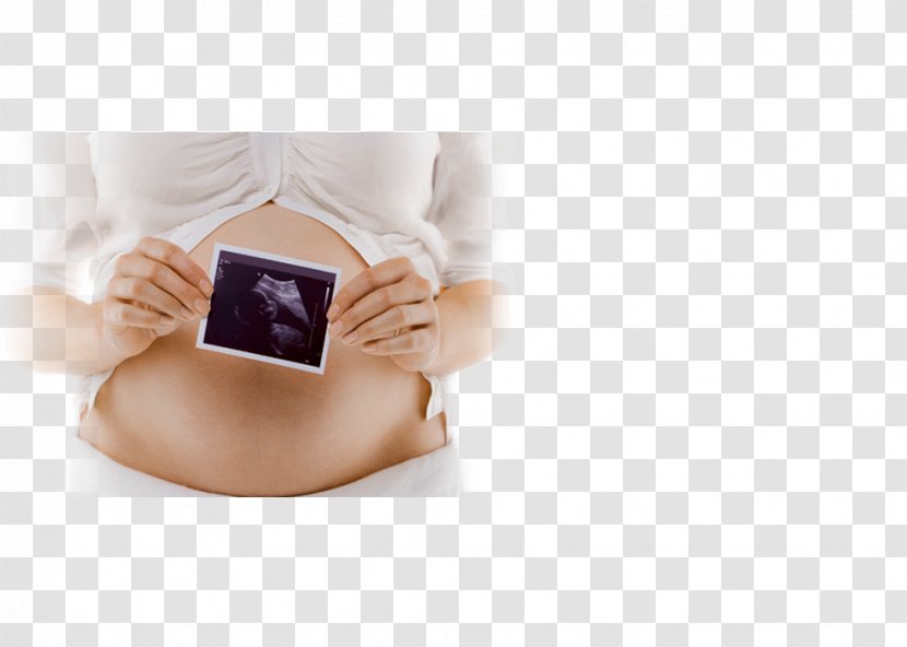 Pregnancy Test X-ray Gestational Age False Transparent PNG