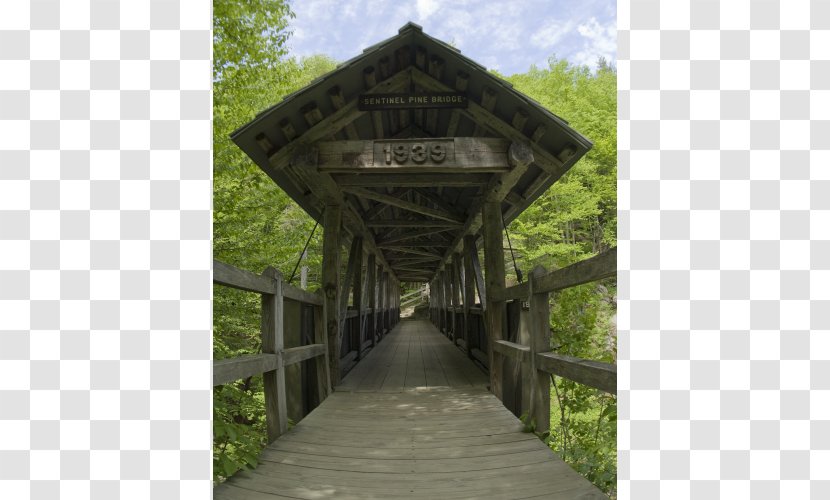 Franconia Notch Mount Flume The Bridge Transparent PNG