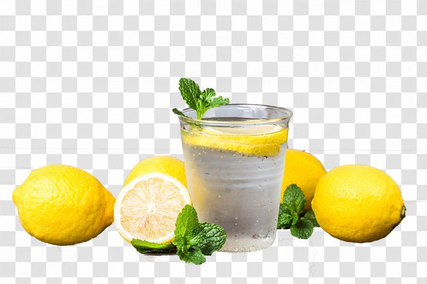 Lemonade Juice Limonana Lemon-lime Drink Transparent PNG