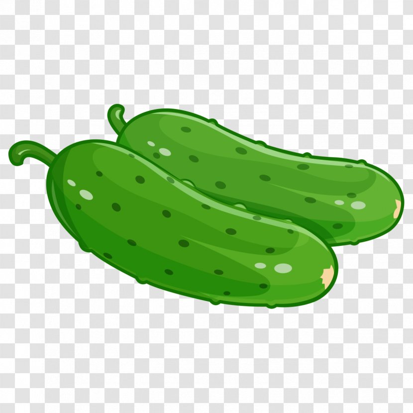 Pickled Cucumber Vegetable Zucchini Food - Cartoon - Cocumber Banner Transparent PNG