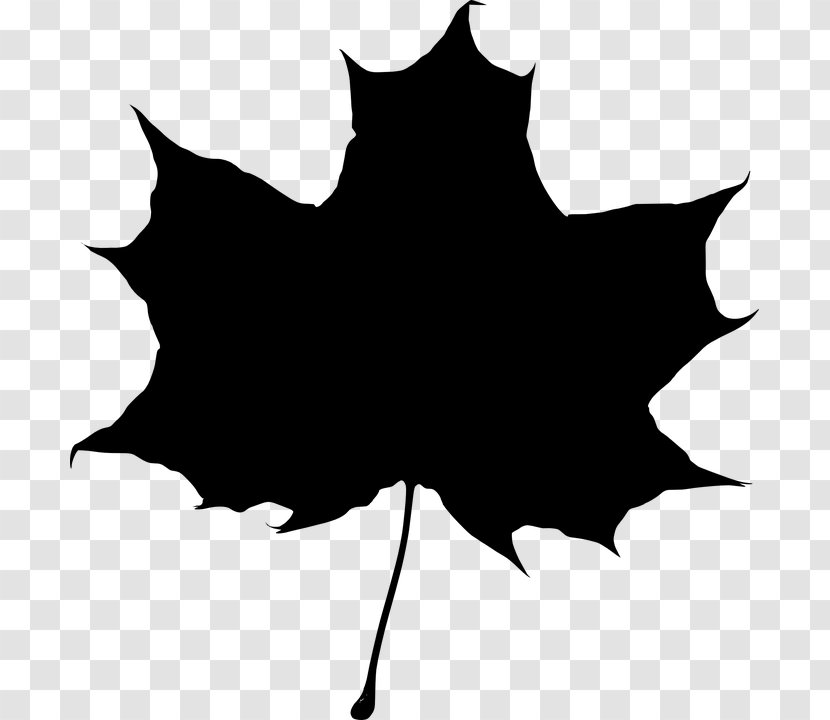 Maple Leaf Silhouette Clip Art - Monochrome - Autumnblackandwhite Transparent PNG