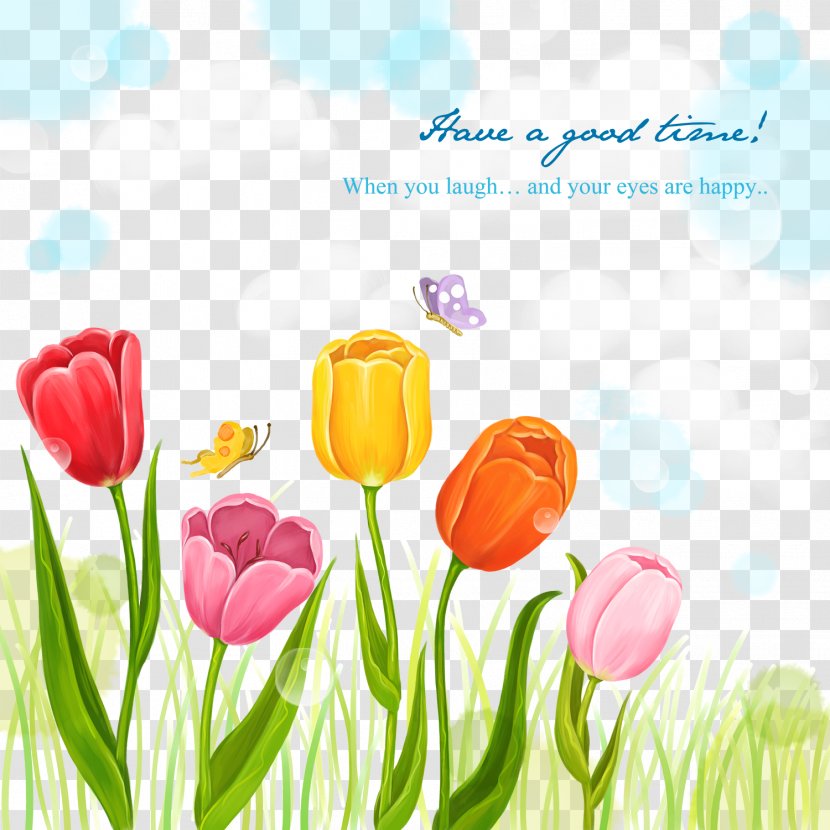 Tulip Flower Illustration - Flowering Plant - Flowers Card Background Material Transparent PNG