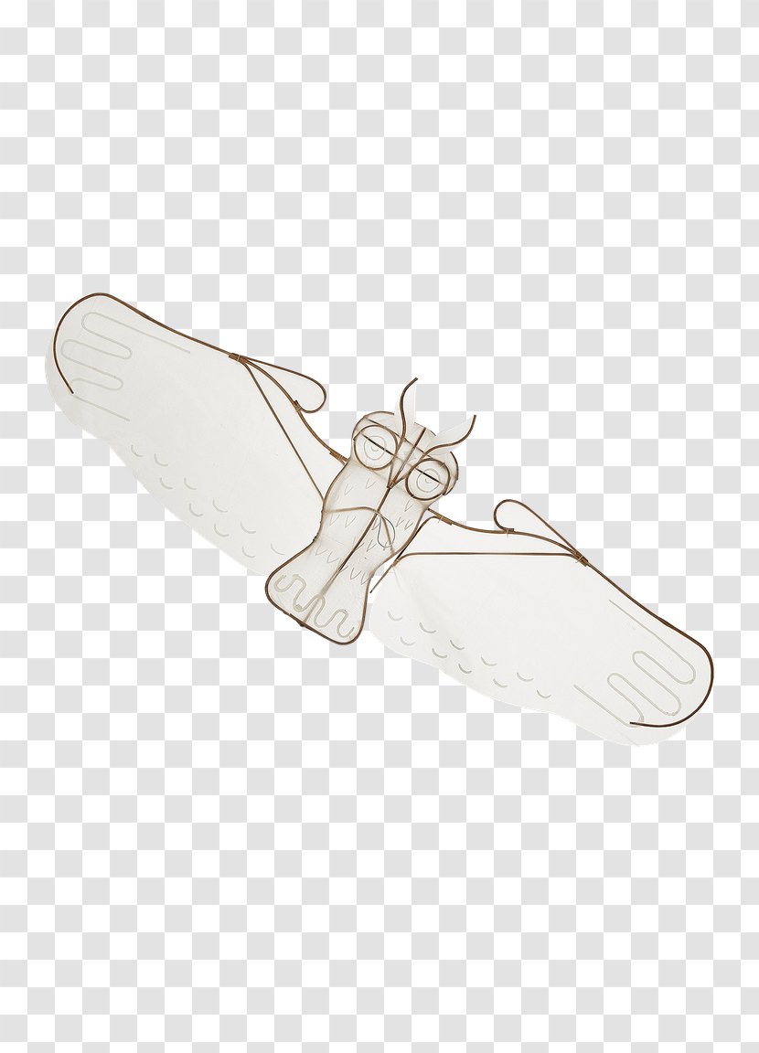 Shoe Walking Product Design - Wing - Cool Kites Transparent PNG