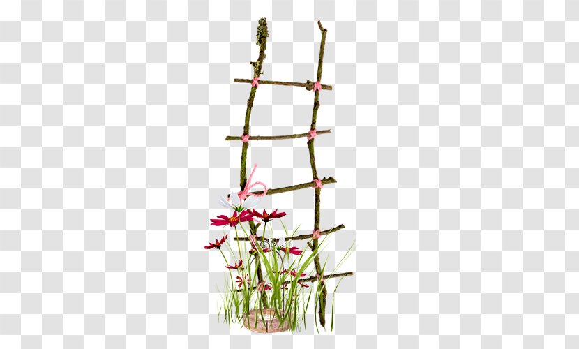 Ladder Clip Art - Garden - Romantic Wooden Transparent PNG