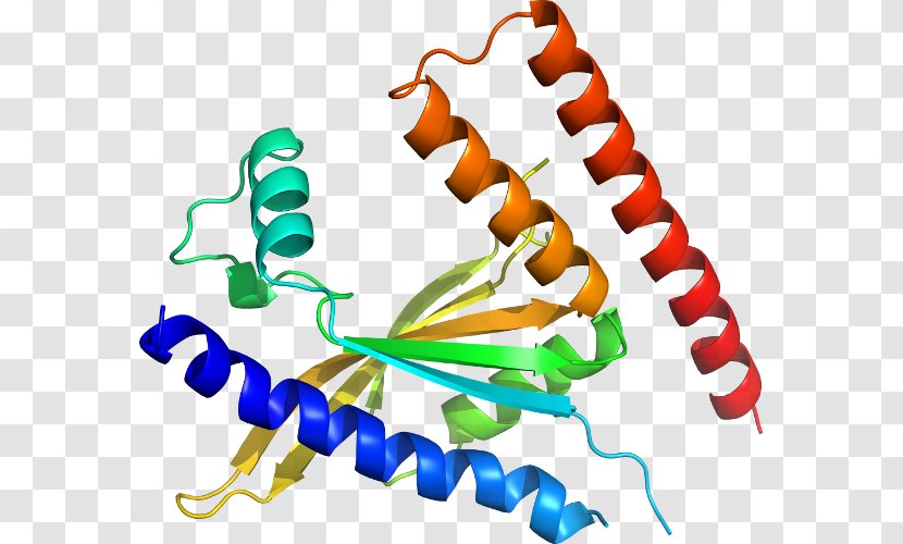 Protein Structure Line Organism Clip Art - Area Transparent PNG