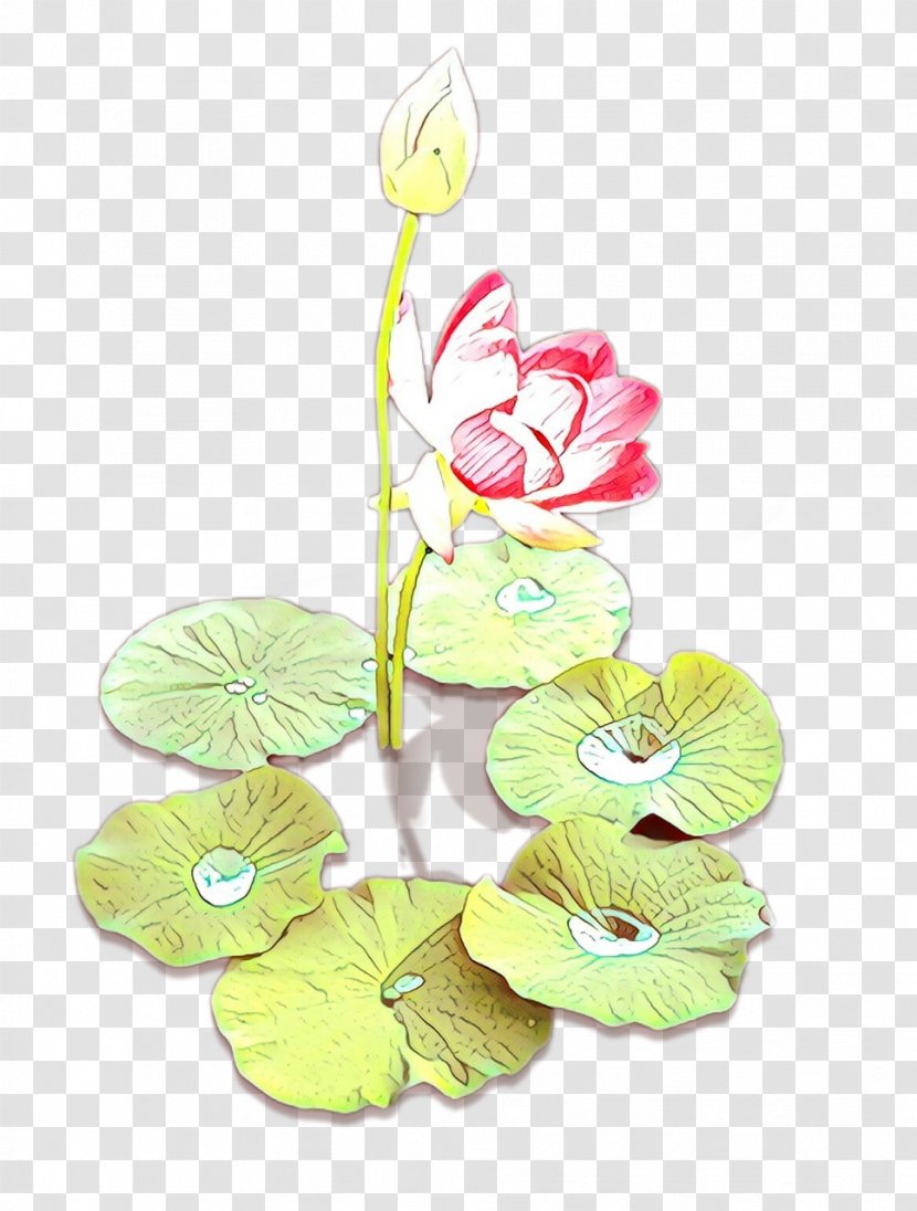 Petal Cut Flowers Floral Design Plant Stem - Flowering - Aquatic Transparent PNG