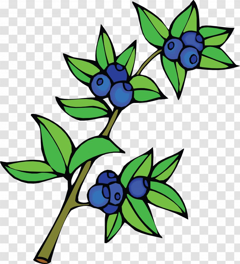Bilberry Fruit Clip Art - Flowering Plant - Blueberry Transparent PNG