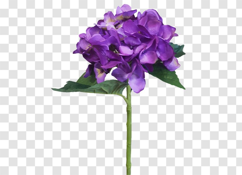 Hydrangea Cut Flowers Violet Petal - Cornales - Artificial Mala Transparent PNG