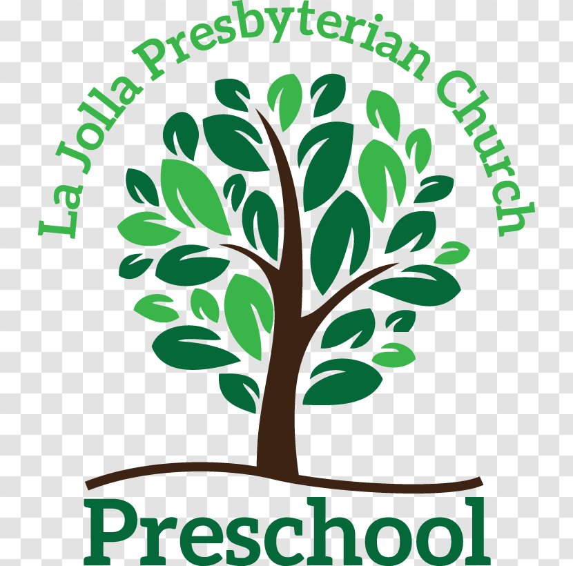 La Jolla Presbyterian Church Pre-school Child (USA) - Donation - Woody Plant Transparent PNG