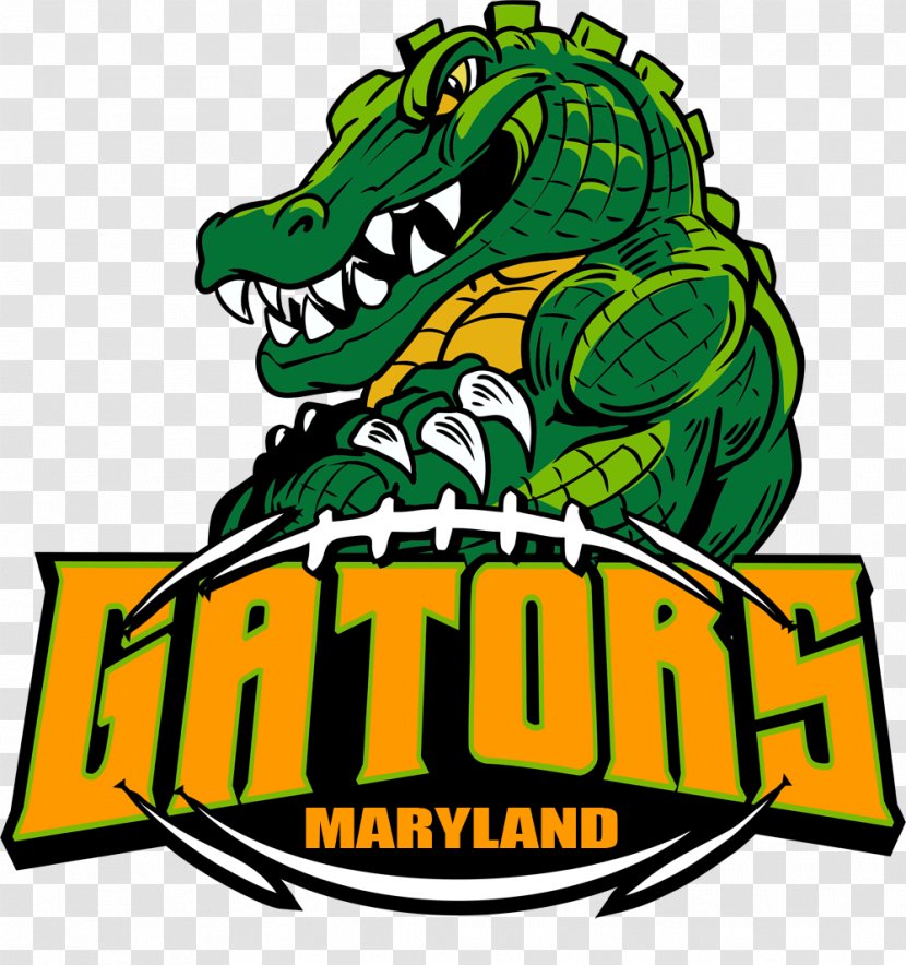 Florida Gators Football Alligator University Of Logo Mascot - Decal Transparent PNG