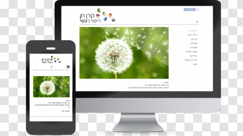 Usability Multimedia Web Design Transparent PNG