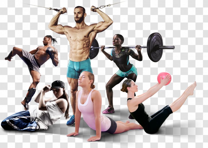 Physical Fitness Centre CrossFit Tae Bo Pilates - Sport - Justfit Exclusive Club Transparent PNG