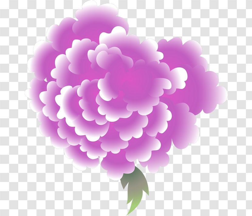 Peony Floral Design Carnation Petal Herbaceous Plant - Rose Family Transparent PNG