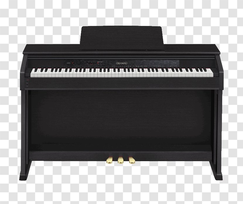 Digital Piano Casio Keyboard Musical Instruments - Cartoon - Electronic Transparent PNG