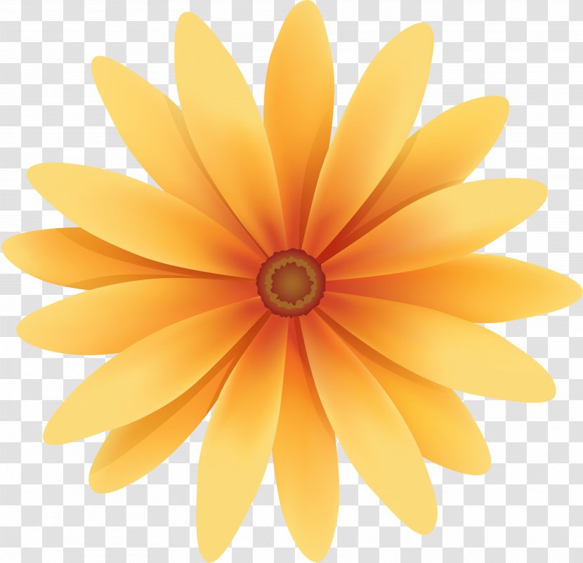 Flower - Orange Transparent PNG
