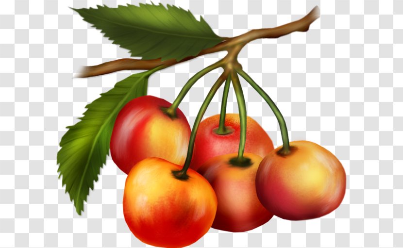 Cherry Bush Tomato Fruit Peach Vegetarian Cuisine - Plant Transparent PNG