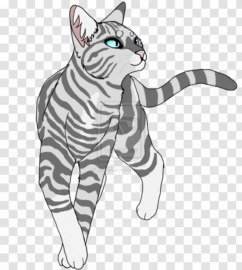 Cat Warriors Silverstream Thistleclaw - Eucaliptus Transparent PNG