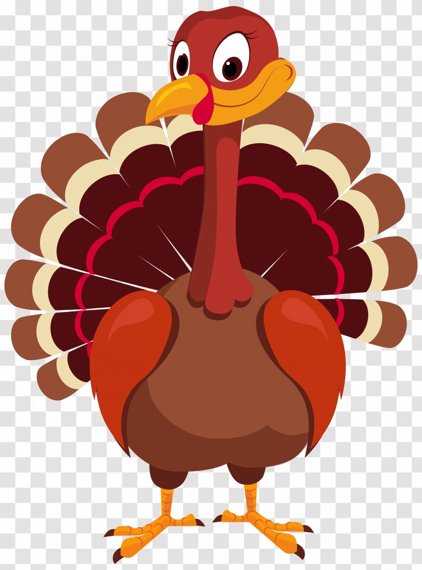 Turkey Meat Clip Art - Domesticated - Full Cliparts Transparent PNG