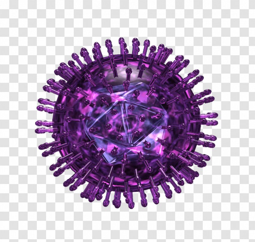 Herpes Simplex Virus Labialis Herpesviruses - Sexually Transmitted Infection - Transmission Transparent PNG