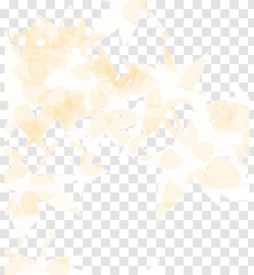 Angle Pattern - Point - Floral Gradient Transparent PNG