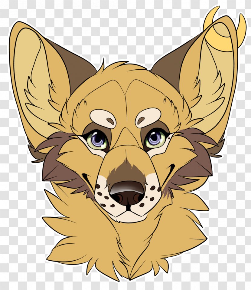 Red Fox Lion Whiskers Cat - Vertebrate Transparent PNG