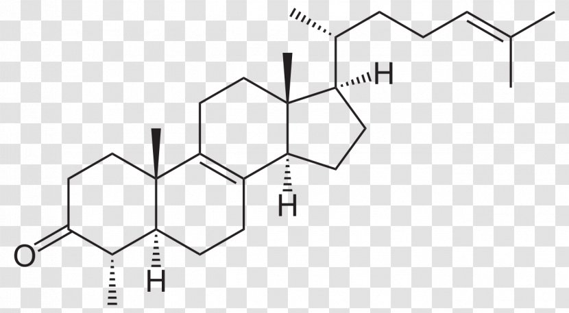 The Great Testosterone Myth Hormone Impurity Cortisol - Drawing - Keto Transparent PNG