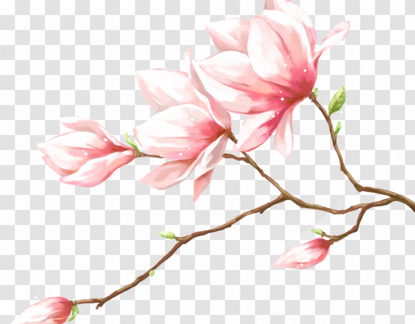 Petal Pink Flowers - Spring - Hand-painted And Beautiful Peach Transparent PNG
