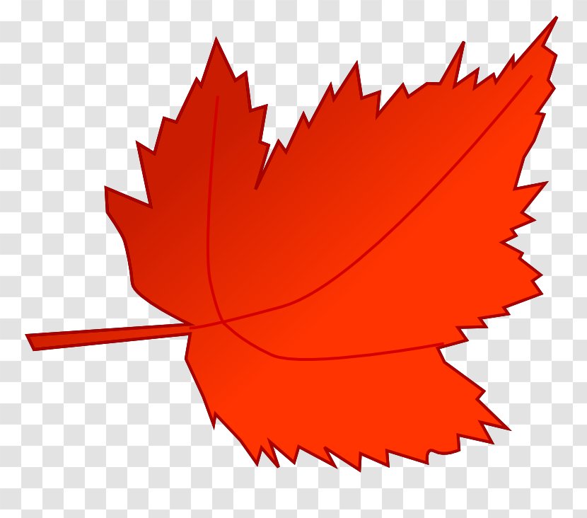 Autumn Leaf Color Red Clip Art - Fall Trees Clipart Transparent PNG