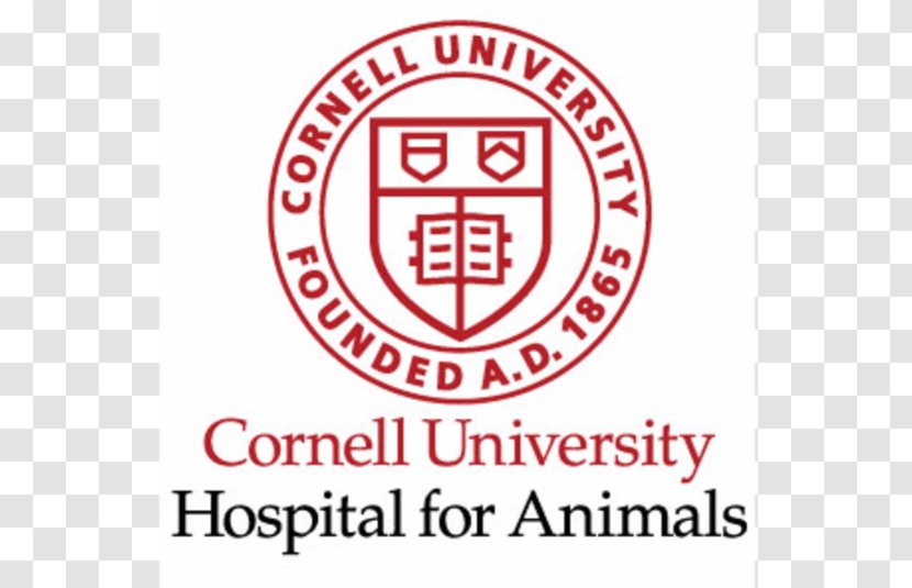Cornell University Logo Brand Font Sticker - Text - Line Transparent PNG