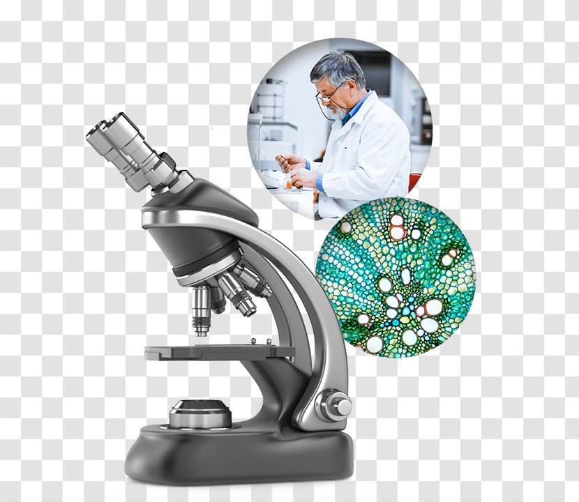 Optical Microscope Microscopy - Stock Photography Transparent PNG