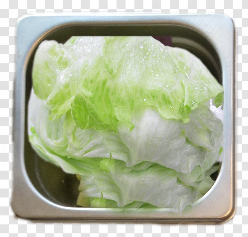 Lettuce Vegetable Food Chinese Cabbage - Vegetables Transparent PNG