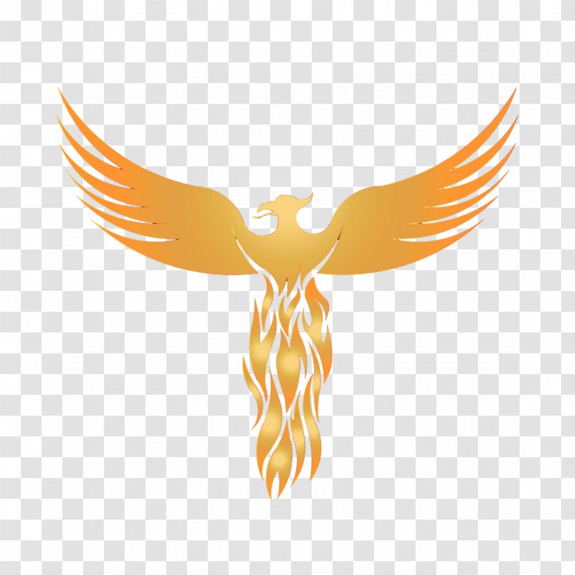 Logo Phoenix Graphic Design Sticker Transparent PNG