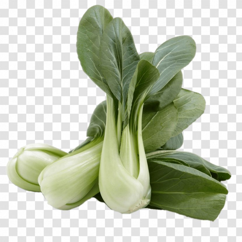 Chard Choy Sum Cruciferous Vegetables Spring Greens Komatsuna - Leaf Vegetable - Frozen Transparent PNG