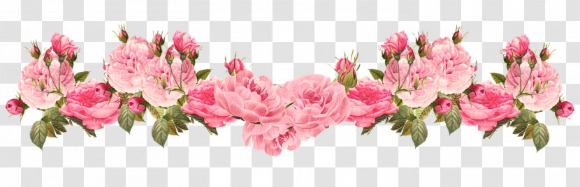 Borders And Frames Floral Design Rose Clip Art Flower - Petal Transparent PNG