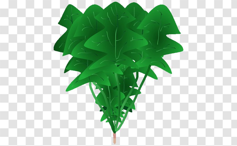 Leaf Green Flowerpot Plant Stem Transparent PNG