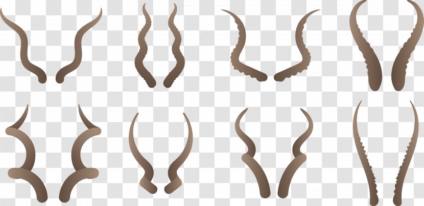 Euclidean Vector Icon - Antler - Claw Transparent PNG