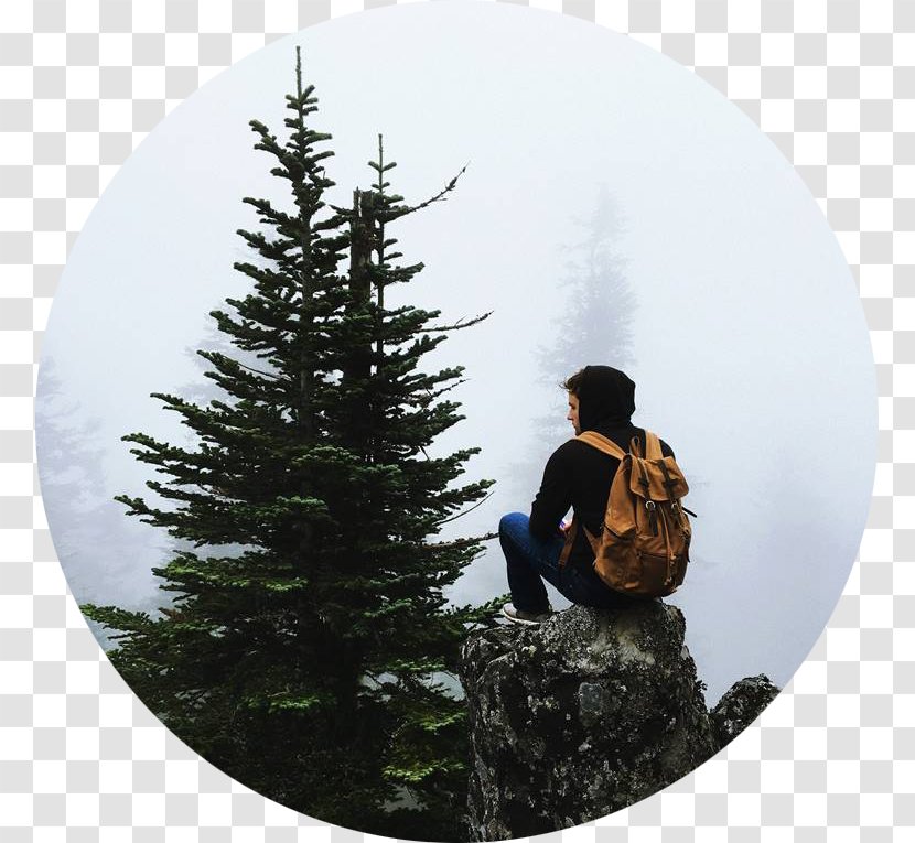 Tree Life Backpack Quotation - Pine Transparent PNG