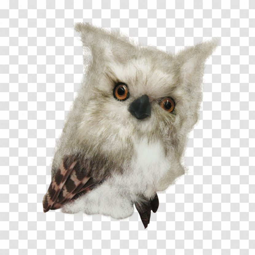 Little Owl Sovunya Bird Clip Art - Wing Transparent PNG