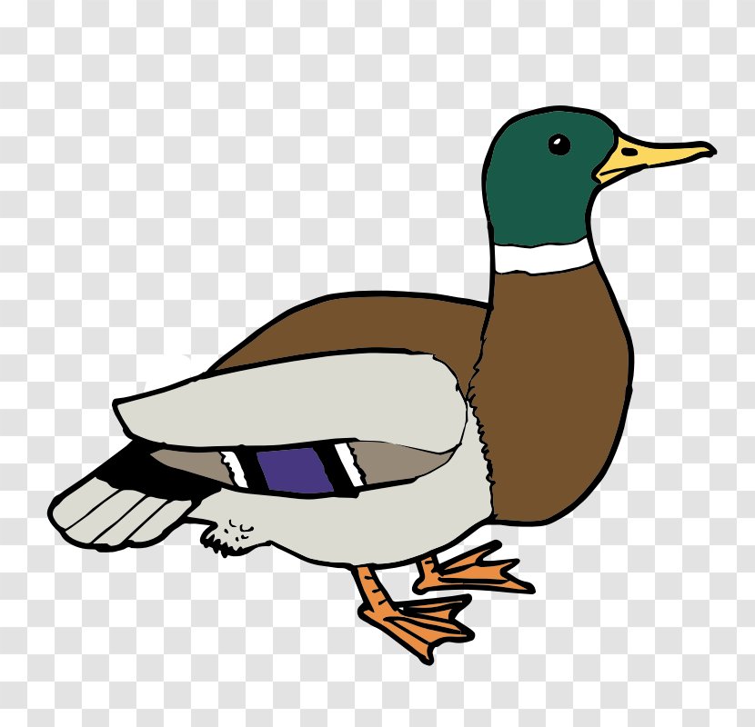 Ducks, Geese And Swans Clip Art Openclipart Free Content - Beak - Duck Transparent PNG