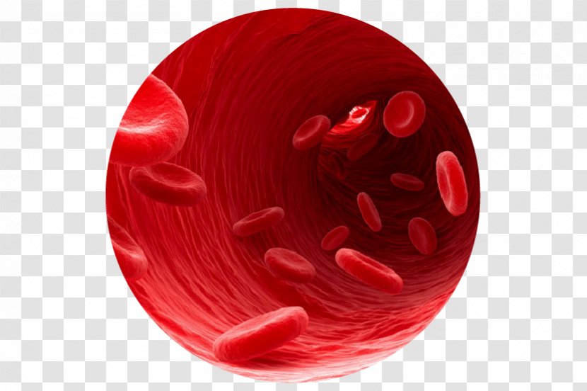 Blood Type Cell Heart Heme Transparent PNG
