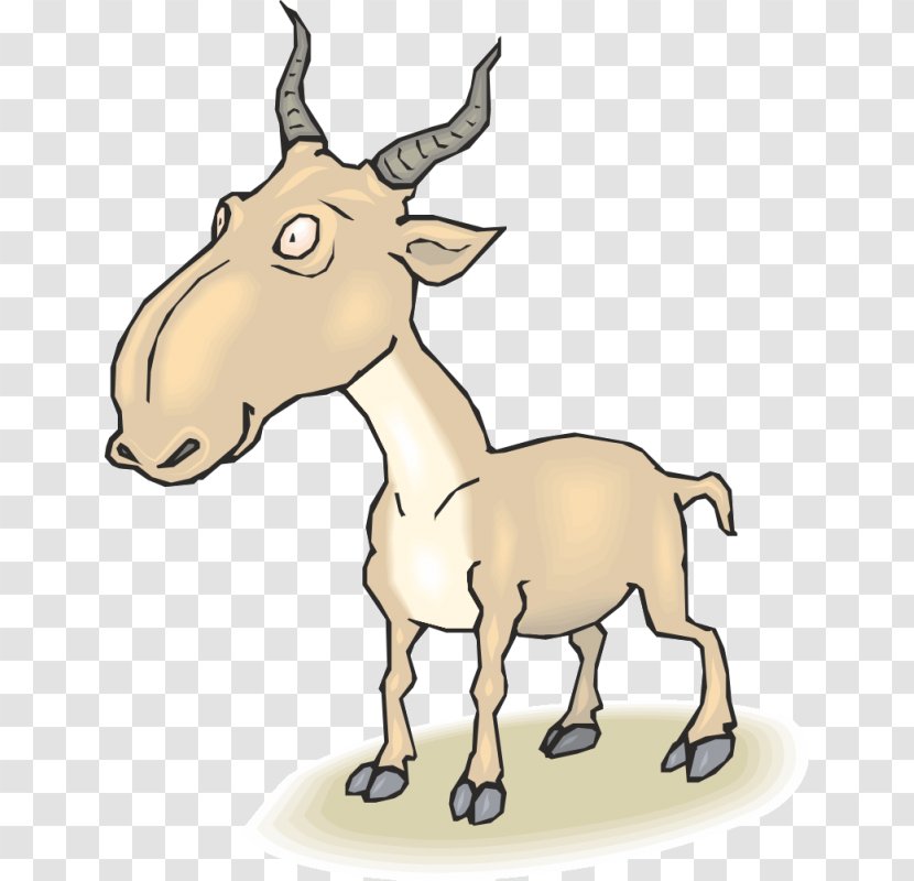 Goat Sheep Cattle Clip Art - Horn Transparent PNG