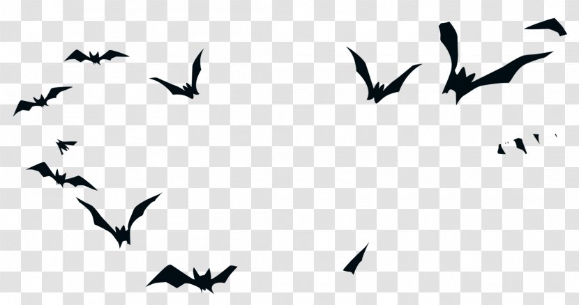 Bird Halloween Silhouette - Black Bat Transparent PNG