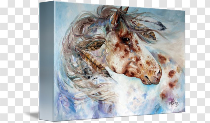Oil Painting Appaloosa Canvas Print Watercolor - Paint - War Horse Transparent PNG